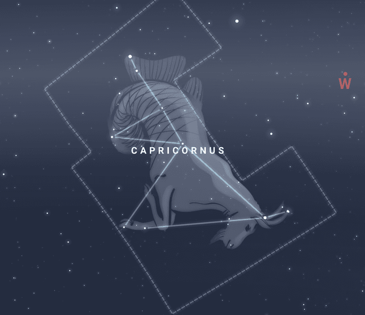 염소자리 별자리 이미지