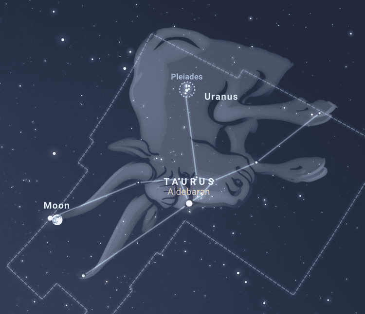 황소자리 별자리 이미지